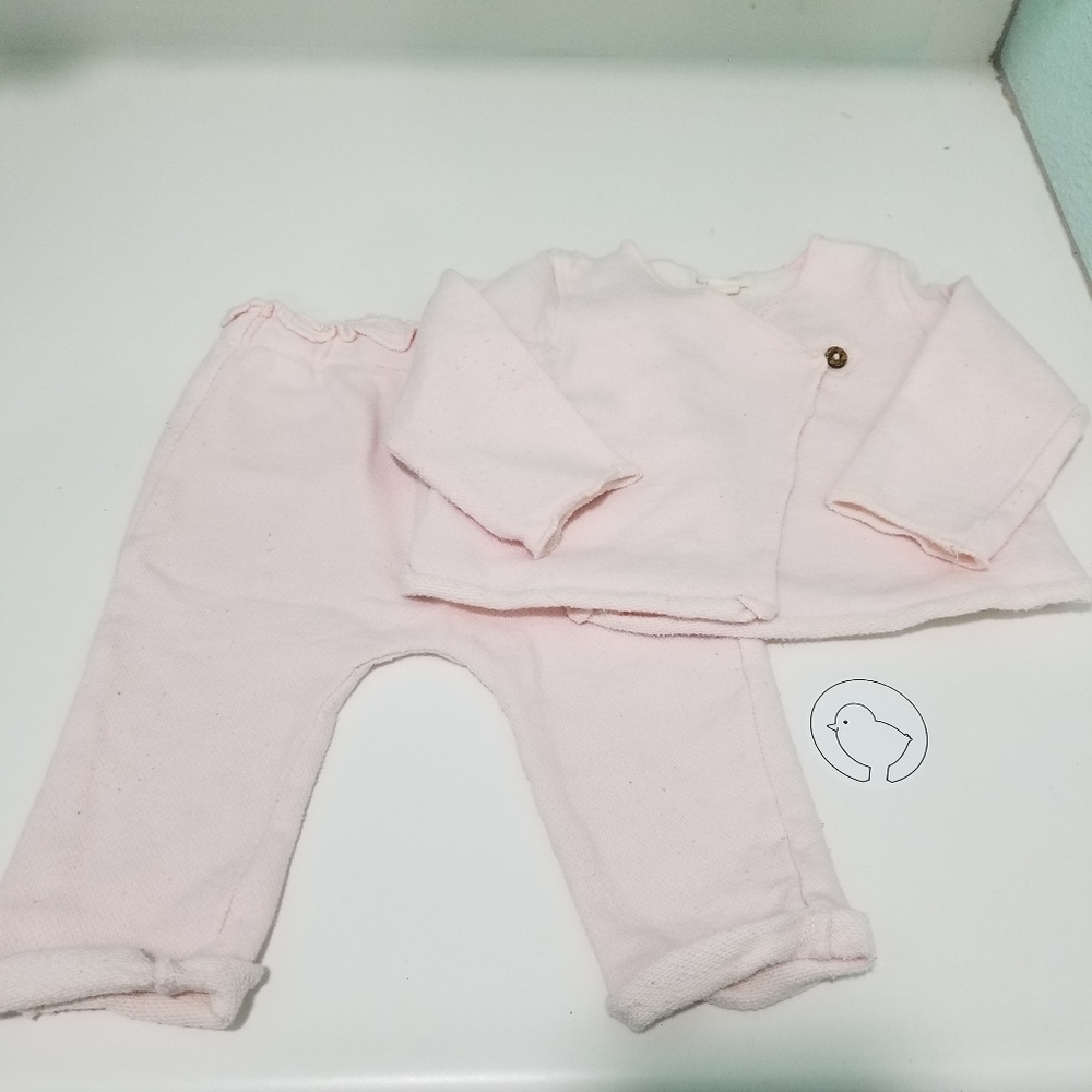 Burt's Bees Girls 6-9mo outfit
